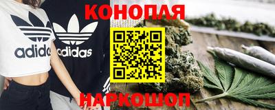 сатива Беслан