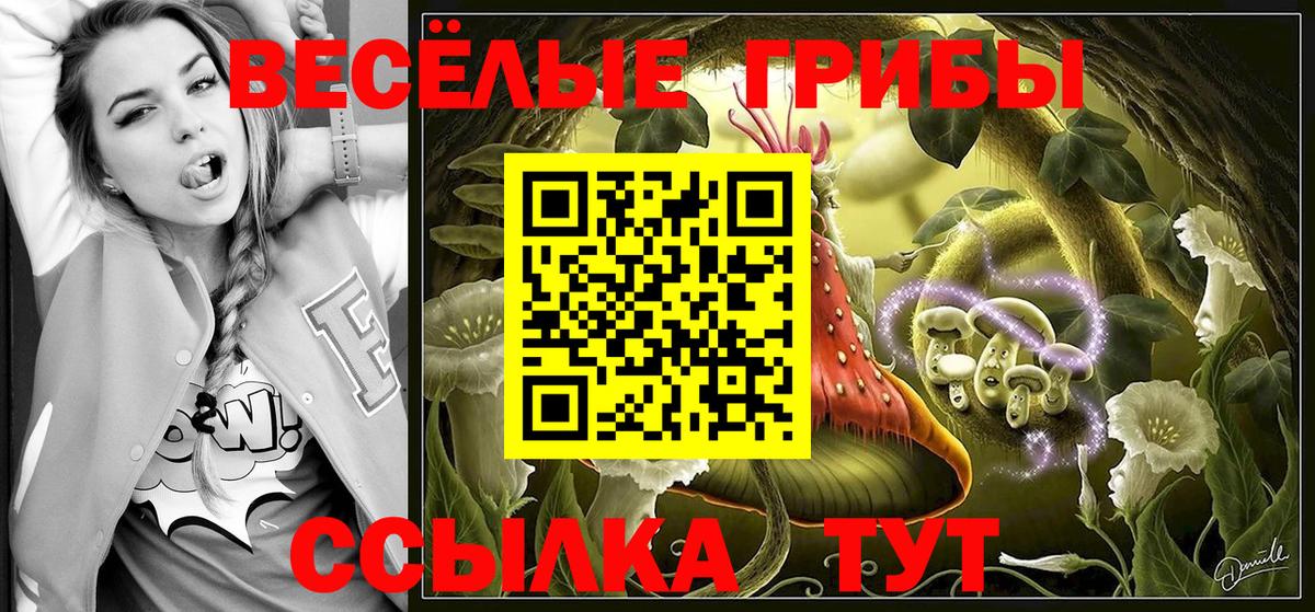 Псилоцибиновые грибы прущие грибы Владикавказ