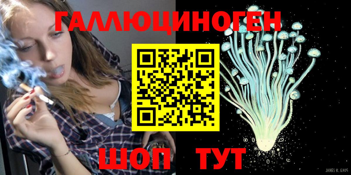 Галлюциногенные грибы Psilocybe Владикавказ