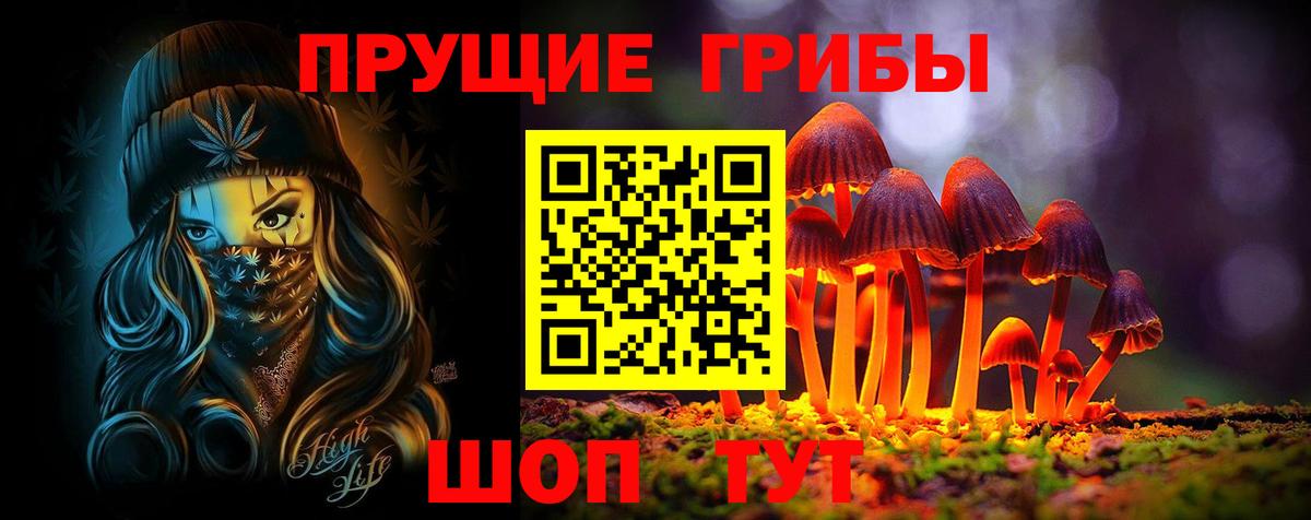 купить наркотики сайты  Владикавказ  Псилоцибиновые грибы MAGIC MUSHROOMS  Галлюциногенные грибы MAGIC MUSHROOMS 