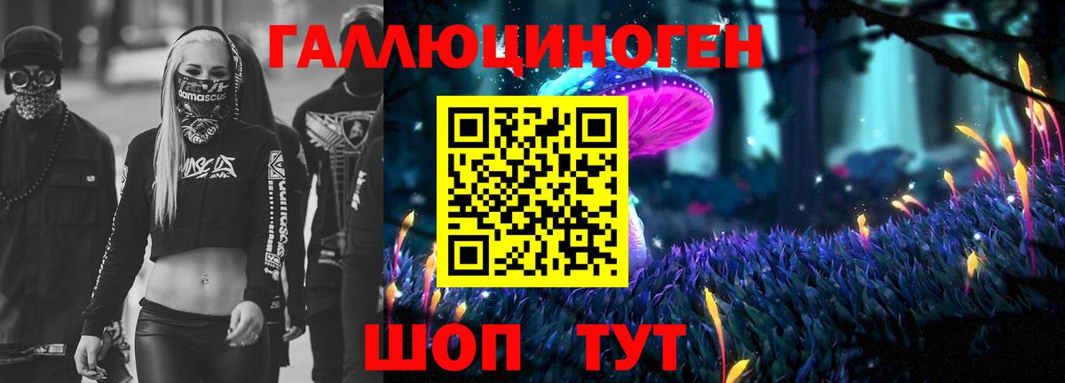 Псилоцибиновые грибы Cubensis  Вход с VPN  Владикавказ 