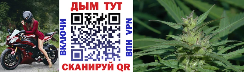 Бошки Шишки сатива  Владикавказ 